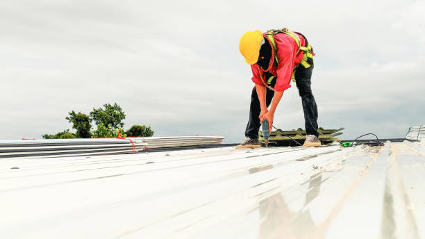 Best Metal Roofing Installation  in Parshall, ND