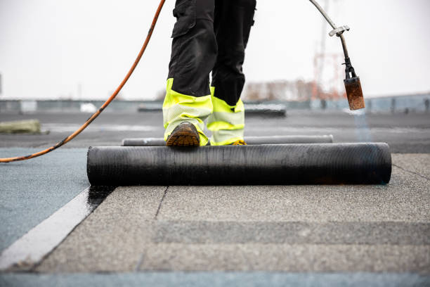 Best Asphalt Shingles Roofing  in Parshall, ND