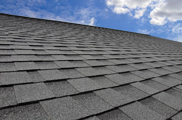 Best Roof Ventilation Installation  in Parshall, ND